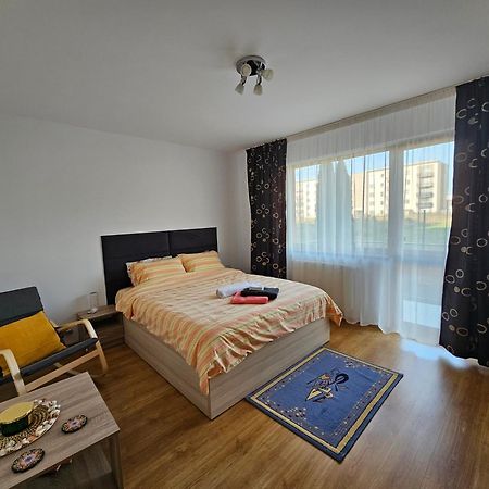 Elena'S Studio Brasov Coresi Exterior photo